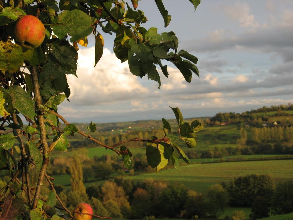 La Boursaie Bed & Breakfast Livarot-Pays-d'Auge Exterior photo